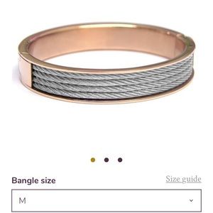 Charriol forever two tone band